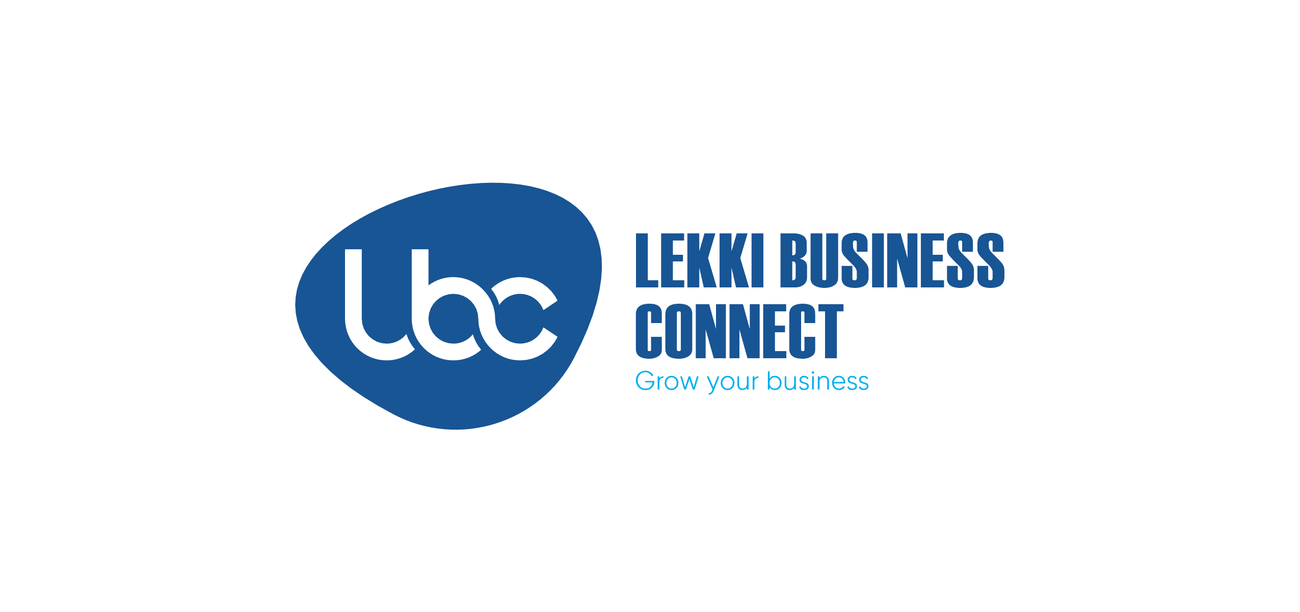 Lekki Business Connect